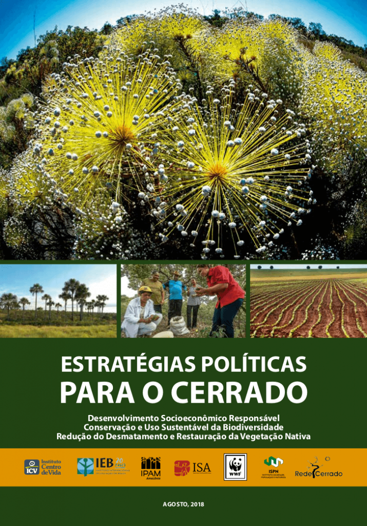 capa do documento estratégias políticas para o cerrado