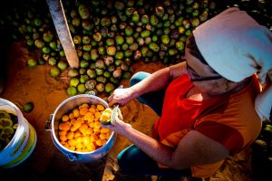 mulher processando pequi
