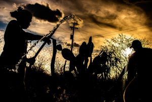 Agricultora e agricultor familiar em contra-luz aguando plantação