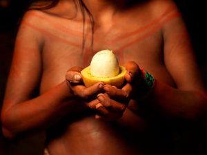 Mãos de uma indígena segurando um Pequi