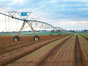 Agronegócio no Cerrado