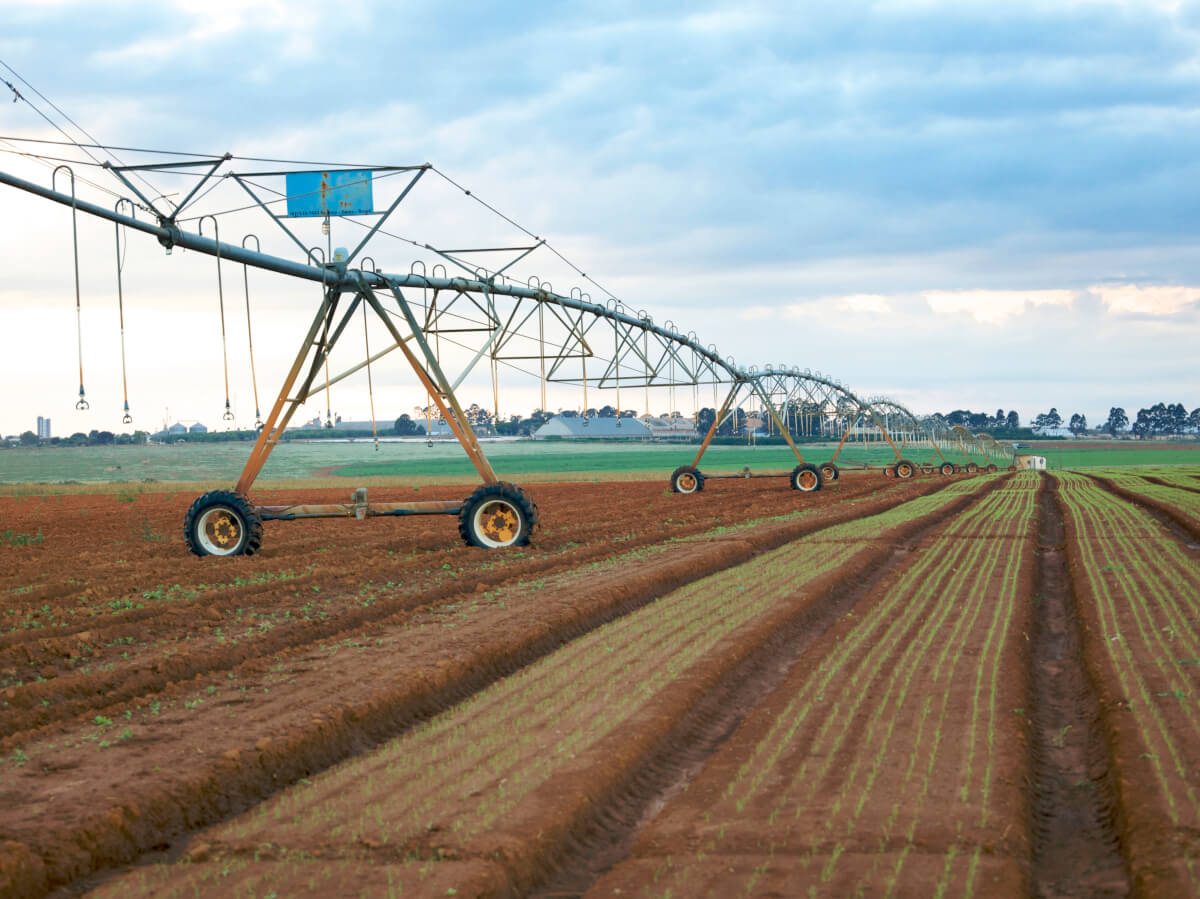 Agronegócio no Cerrado