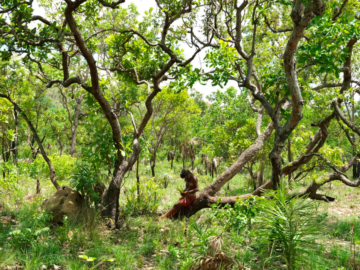Indígena em território conservado