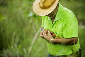 Acervo ISPN/Bento Viana