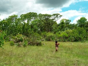 território indígena com uma mulher indígena