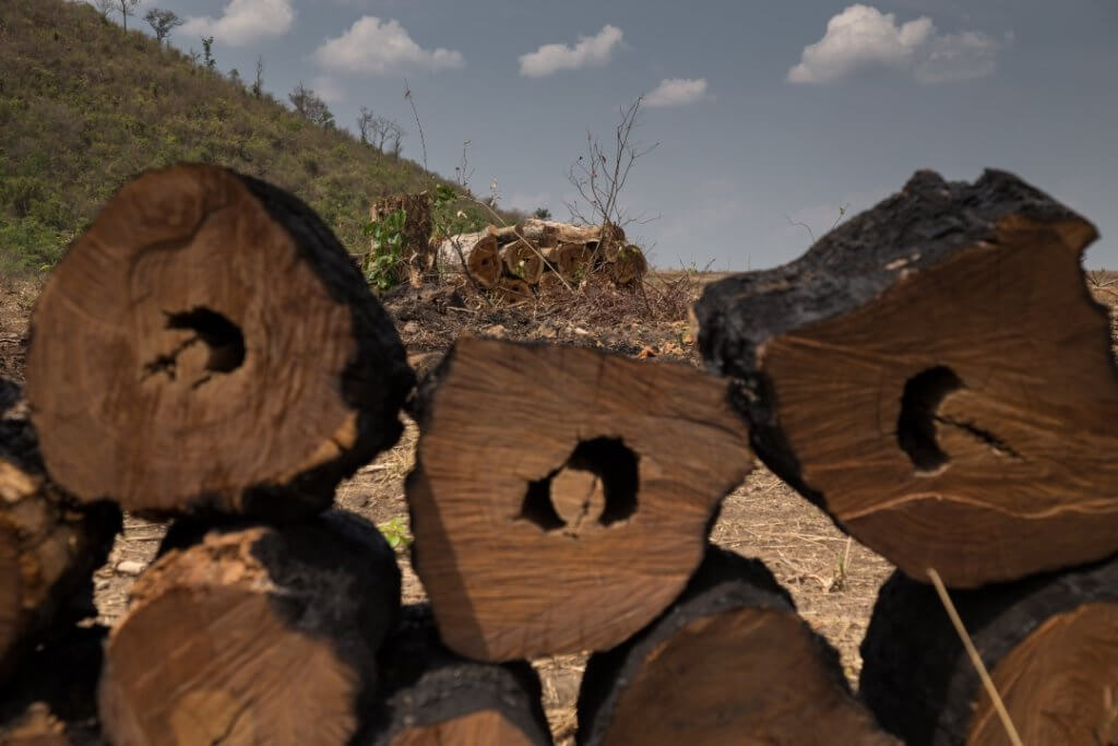 Foto: Acervo ISPN/Thomas Bauer