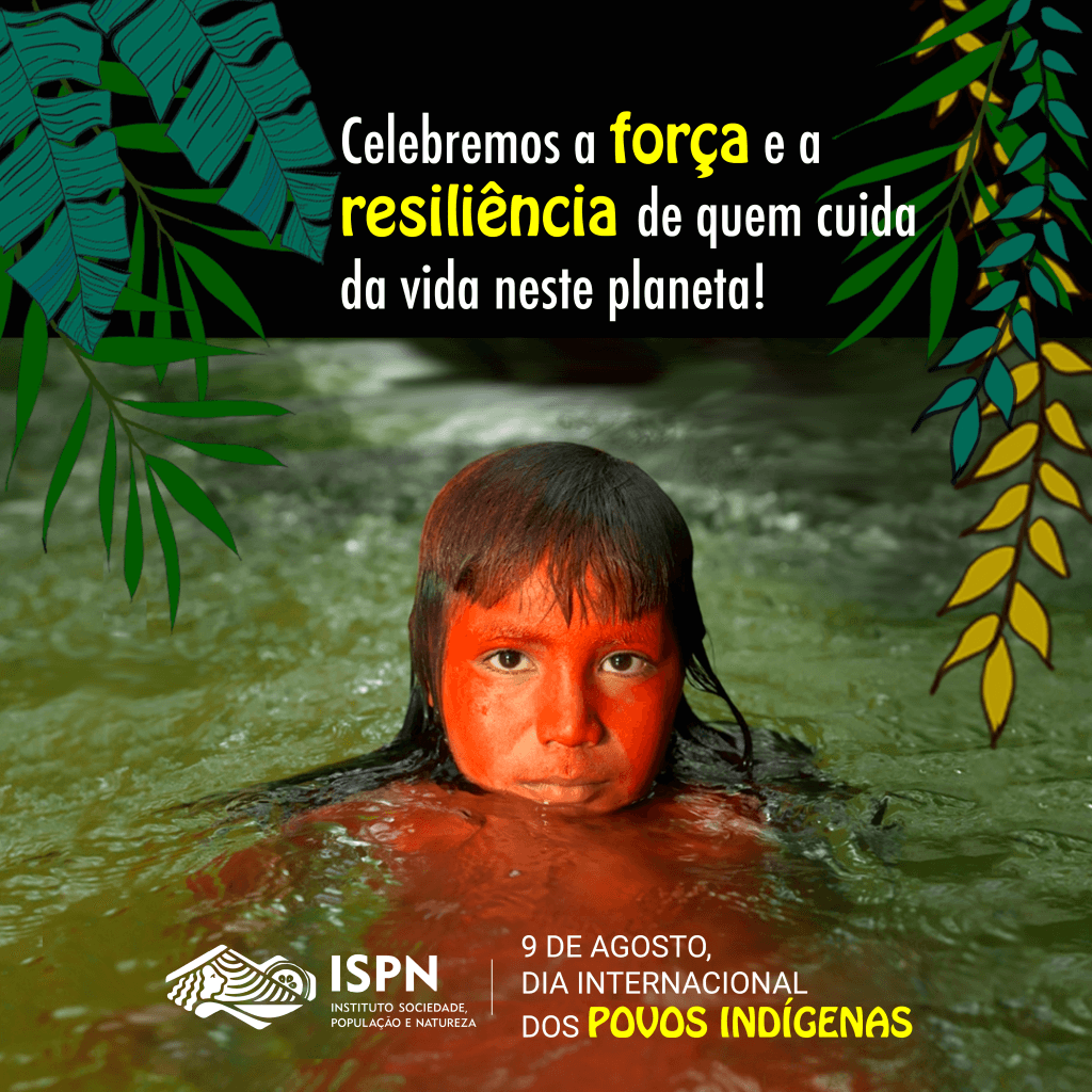 Divulgação editais indígenas