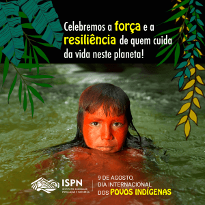 Divulgação editais indígenas