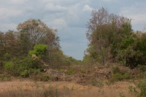 Foto: Thomas Bauer / CPT