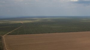 Foto Thomas Bauer/ CPT