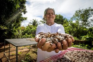 Gueroba que alimenta, gera renda e conservação ambiental (Acervo ISPN/Bento Viana)