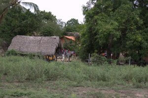 Comunidade de agricultores familiares em Cidelândia-MA. (Acervo ISPN/Raisa Pina)