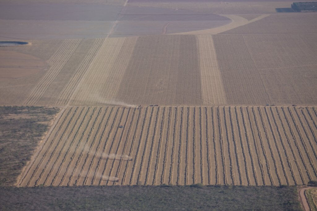 Acervo ISPN/Thomas Bauer