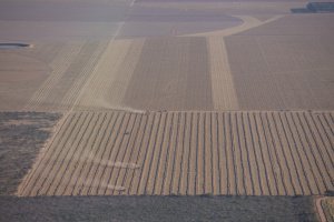 Acervo ISPN/Thomas Bauer