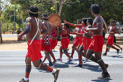 52349206362_5e513df088_w(1)