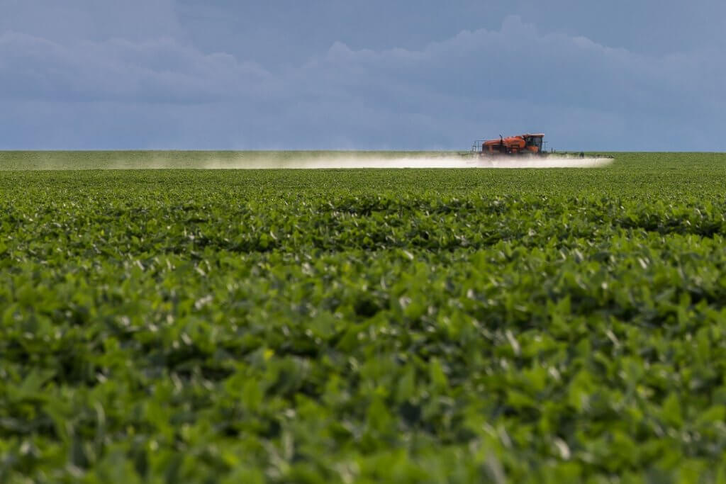 Acervo ISPN/Thomas Bauer