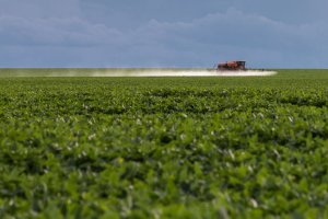 Acervo ISPN/Thomas Bauer