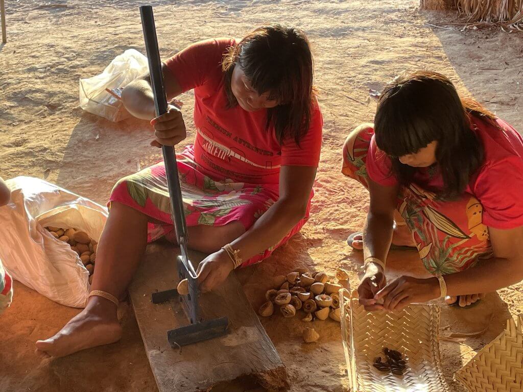 Aldeia Ripá, Terra Indígena Pimentel Barbosa: mulheres xavante manejam sementes de baru, um dos projetos cancelados — Foto: Acervo ISPN/Divulgação