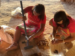 Aldeia Ripá, Terra Indígena Pimentel Barbosa: mulheres xavante manejam sementes de baru, um dos projetos cancelados — Foto: Acervo ISPN/Divulgação