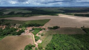 Campo de soja a poucos metros de moradias na Comunidade de Três Lagos, município de Lago da Pedra, Maranhão