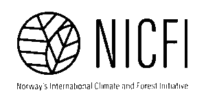 Internacional Climática e Florestal da Noruega (Nicfi)