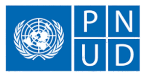 Programa das Nações Unidas para o Desenvolvimento (PNUD)