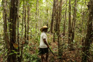 Homem de meia-idade, com chapéu de palha e camisa polo branca, caminha de perfil por uma mata de galeria densa e verde. A luz do sol penetra parcialmente entre as árvores finas e altas. Ele segura um instrumento, possivelmente uma foice ou bastão, na mão direita. A imagem captura Seu Miúdo em sua comunidade em Balsas, no Cerrado maranhense.