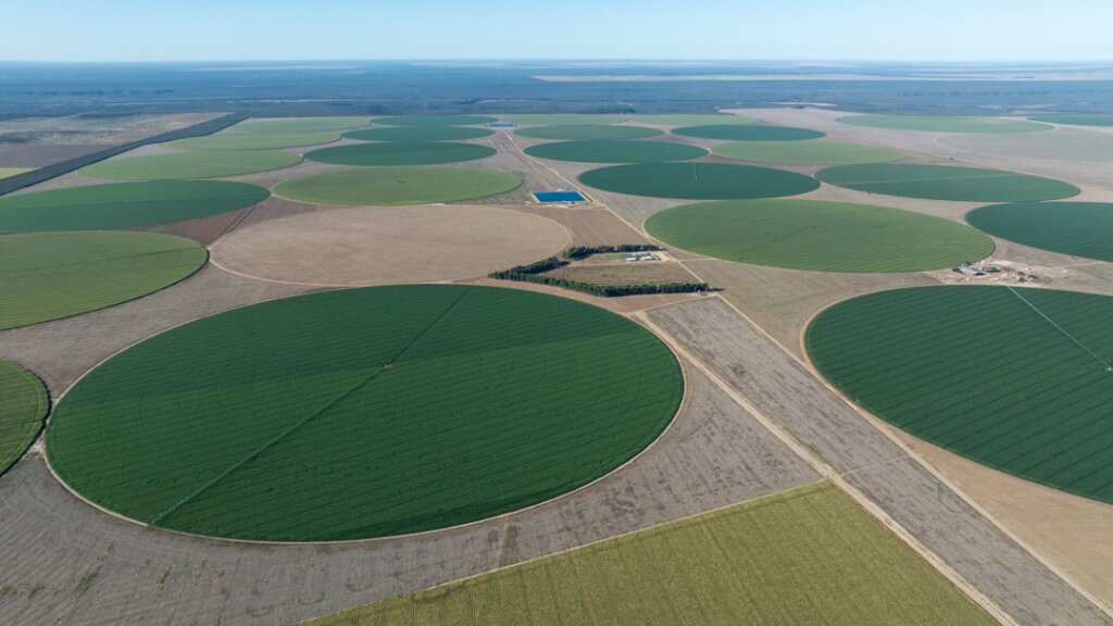 Área de Cerrado desmatada em Correntina, na Bahia. Foto: Felipe Abreu/Acervo ISPN