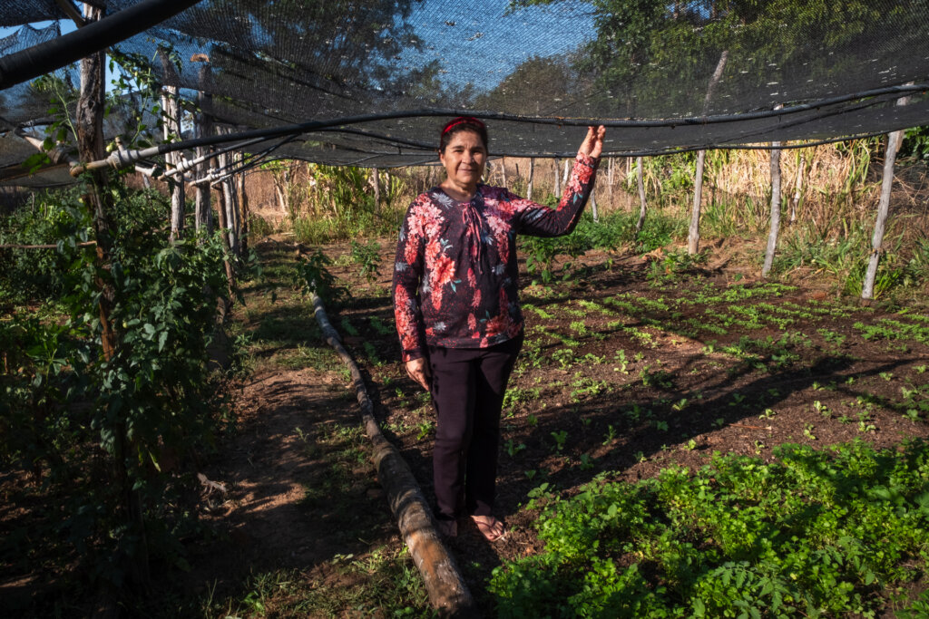Em meio a farinhada na comunidade Palmeira dos Ferreira, Dona Ana Lúcia aproveita para mostrar o quintal agroecológico que atende a feira semanal em Pedro II, tema da segunda parte da reportagem sobre o sertão do Piauí. Foto: Paula Cinquetti/ Acervo ISPN