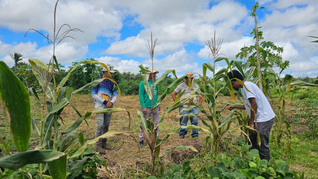 Troca de saberes entre indígenas e técnicos do ISPN na Aldeia Piçarra Preta. Foto: Cristiane Moraes/Acervo ISPN